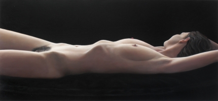 Untitled, 70-150 cm, 2010, oil on canvas.